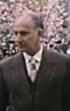 马尔·丁斯 Mardins照片