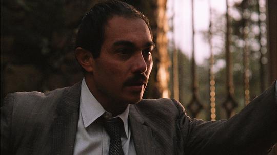 约瑟夫·德拉·索尔特 Joseph Della Sorte照片