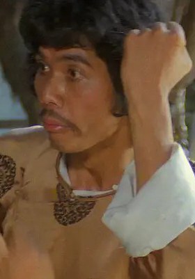 朱少华 Shao Hua Chu照片