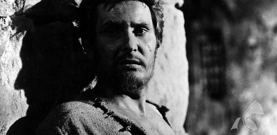 Henryk Boukolowski照片