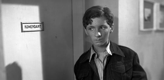 Leopold R. Nowak照片