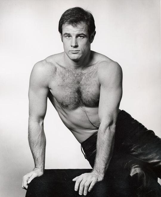 布拉德·戴维斯 Brad Davis照片