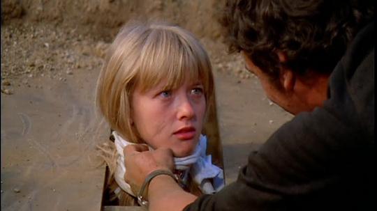 苏珊·桑内特 Susan Sennett照片