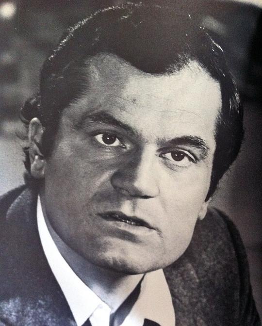 米歇尔·佩尔隆 Michel Peyrelon照片