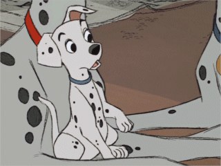 桑德拉·艾勃特 Sandra Abbott照片