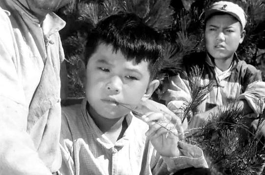 林华亭 Huating Lin照片