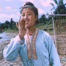 张文君 Wen-jun Zhang照片