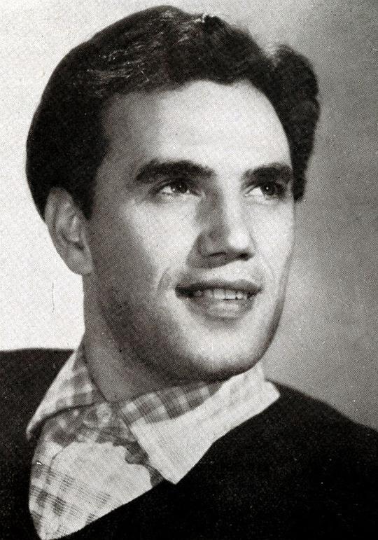 雷纳托·泰拉 Renato Terra照片