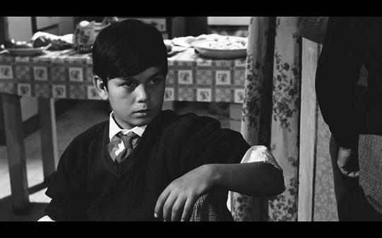 Rocco Vidolazzi照片