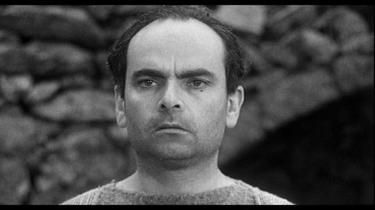 Marcello Morante照片