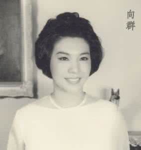 向群 Qun Xiang照片