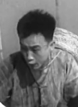 王晓风 Xiaofeng Wang照片