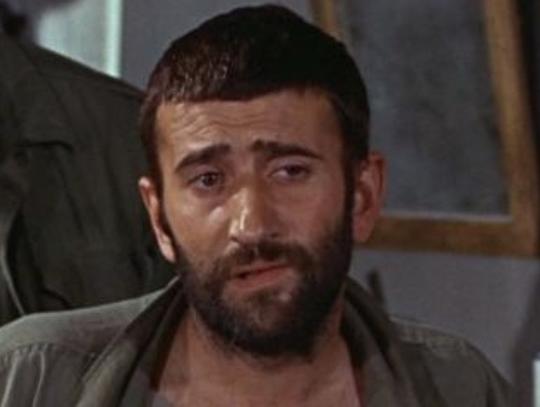 阿尔·曼西尼 Al Mancini照片