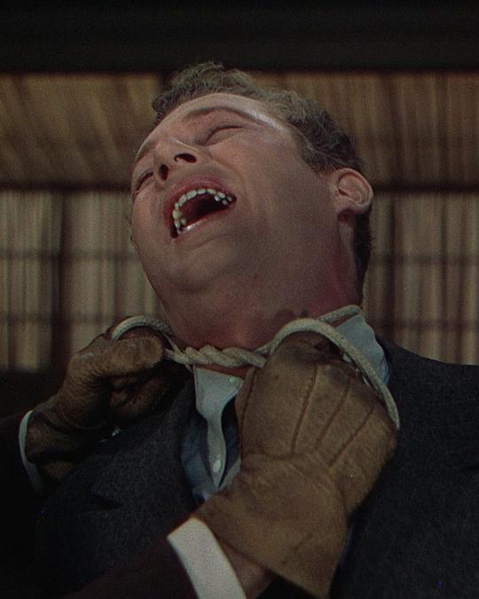 迪克·霍根 Dick Hogan照片