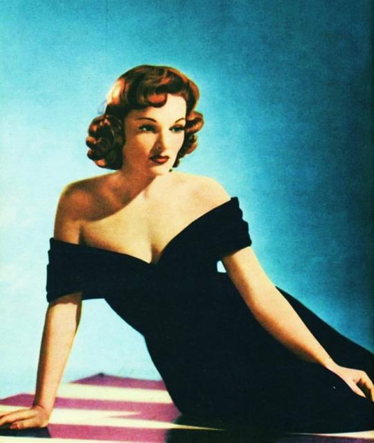 林登·塔拉维尔 Linden Travers照片