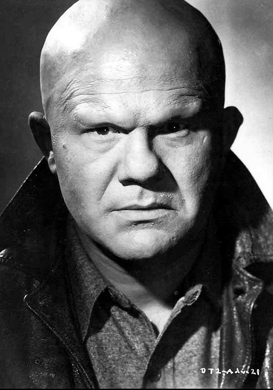 迪克·韦塞尔 Dick Wessel照片