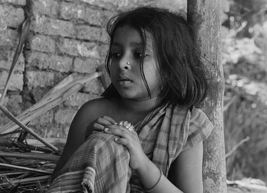 伦基·班纳杰 Runki Banerjee照片