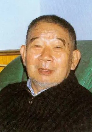 陆洪非 Lu Hongfei照片