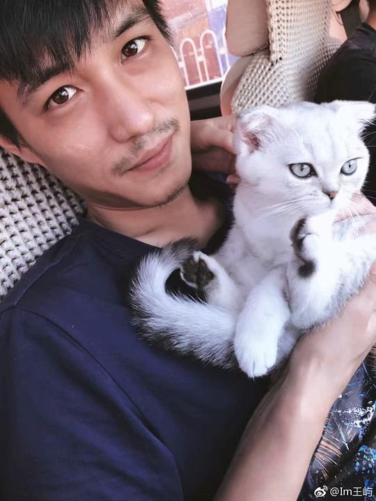 王屿 Yu Wang照片