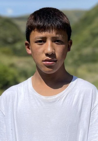 仁青甲木措照片