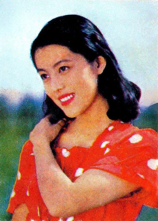 秦岭 Ling Qin照片