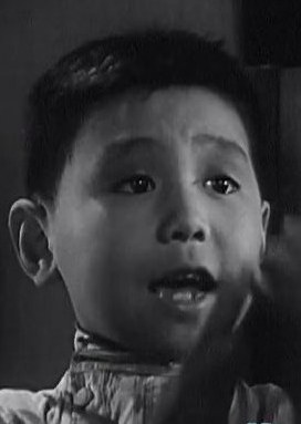 何海曦 Haixi He照片