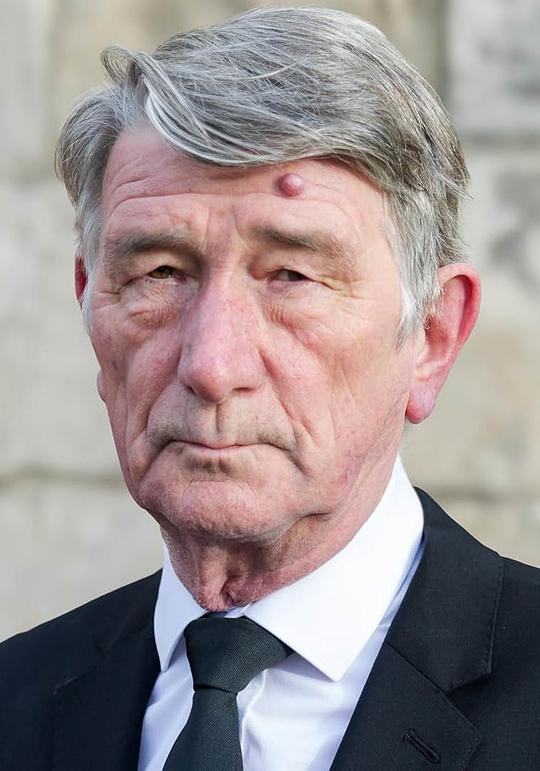 伊恩·吉尔斯 Ian Giles照片