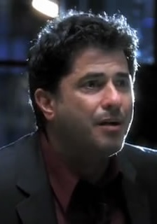 罗伯特·奇基尼 Robert Cicchini照片