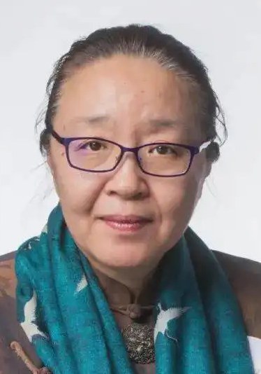 戴锦华 Jinhua Dai照片