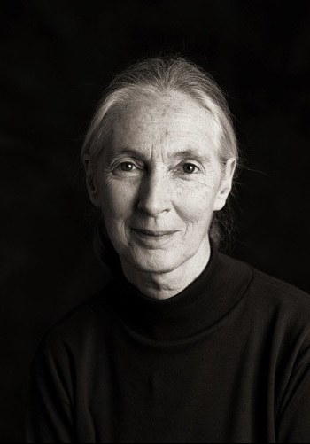 珍·古道尔 Jane Goodall照片