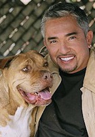 西泽·米兰 Cesar Millan照片