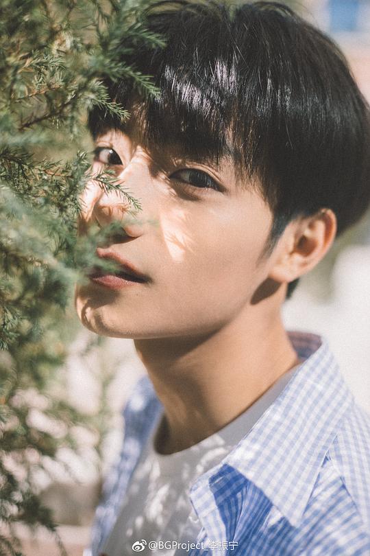 李振宁 Zhenning Li照片