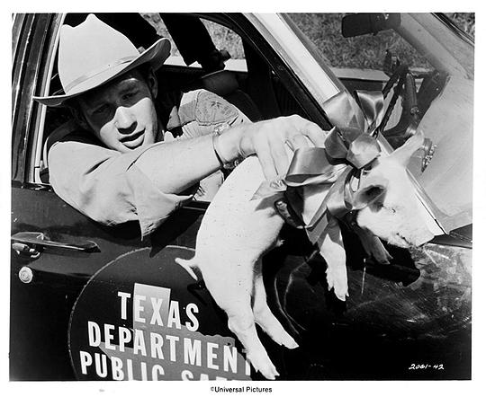 迈克尔·萨克斯 Michael Sacks照片