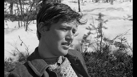 埃迪·阿克斯贝里 Eddie Axberg照片