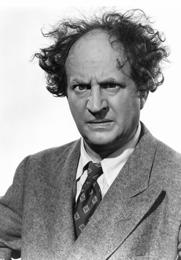 拉里·费恩 Larry Fine照片