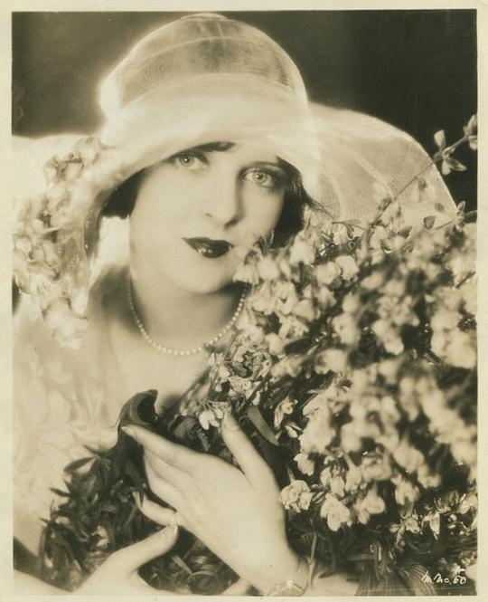 梅·麦卡沃伊 May McAvoy照片