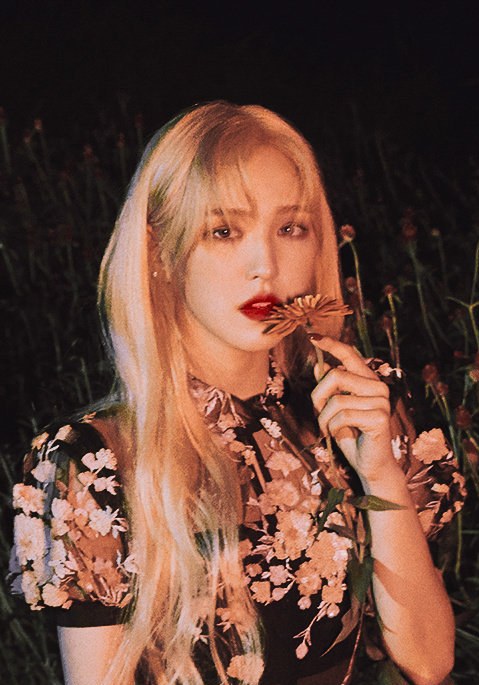 孙胜完 Wendy照片