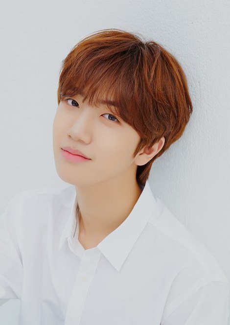 咸元进 Won-Jin Ham照片