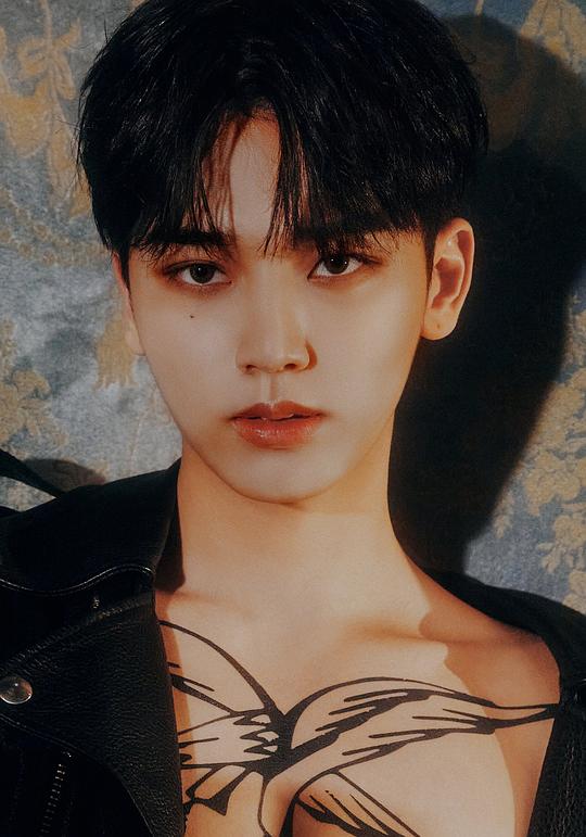 梁爀 Yang Hyuk照片