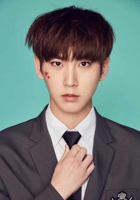 高信源 Shin Won照片