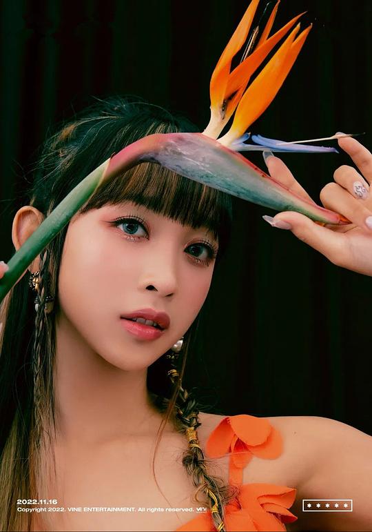 迪塔卡朗 Dita照片