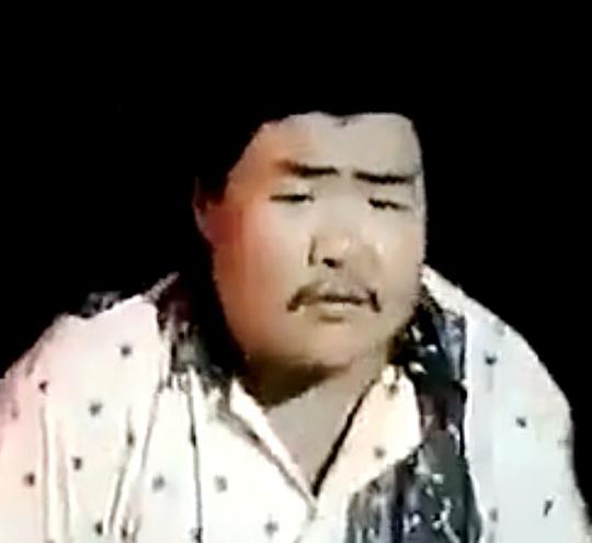 王和平 Heping Wang照片