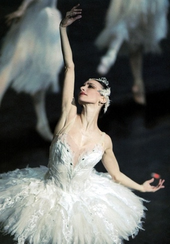 Viviana Durante照片