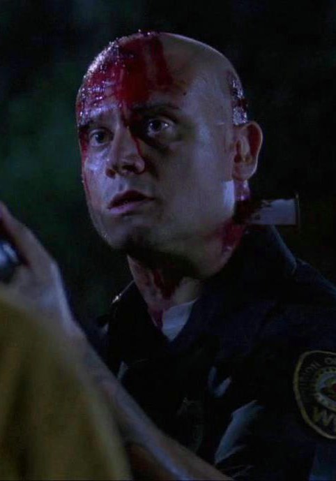 麦克·斯特劳布 Mike Straub照片