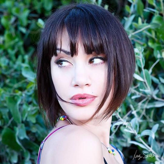 Crisula Stafida照片