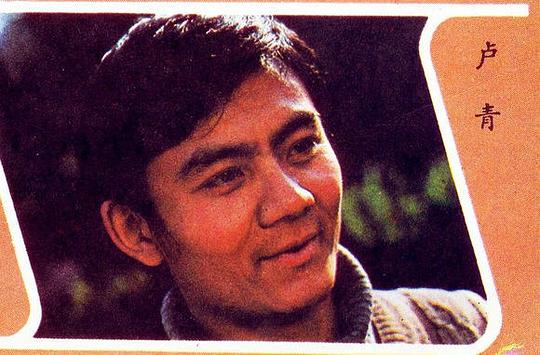卢青 Qing Lu照片