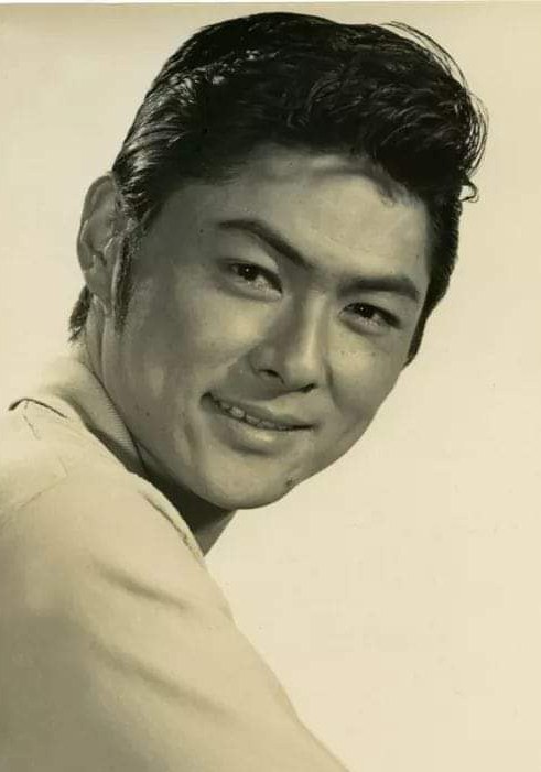 白鹰 Ying Bai照片