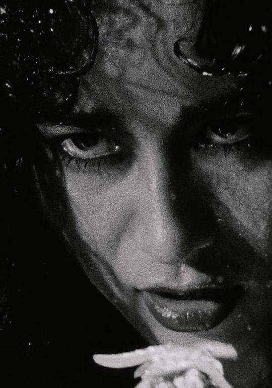 不二稿京 Kei Fujiwara照片