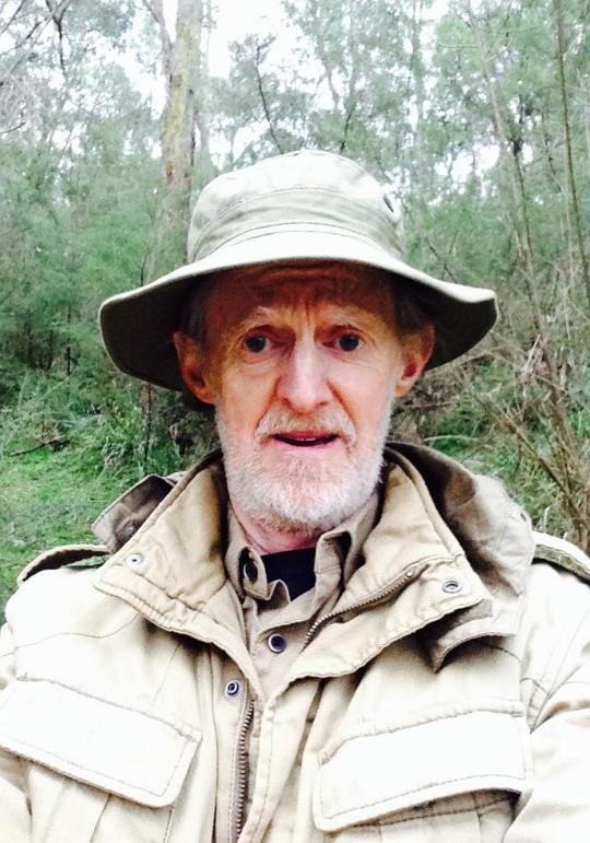 唐·布里奇斯 Don Bridges照片