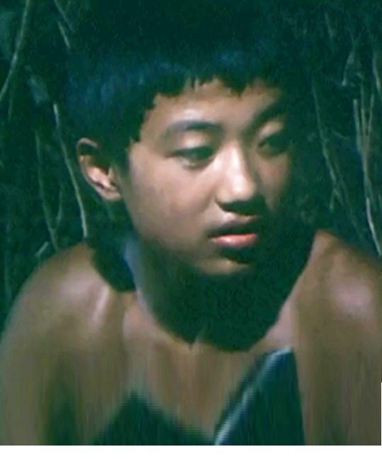 杨彦强 Yanqiang Yang照片